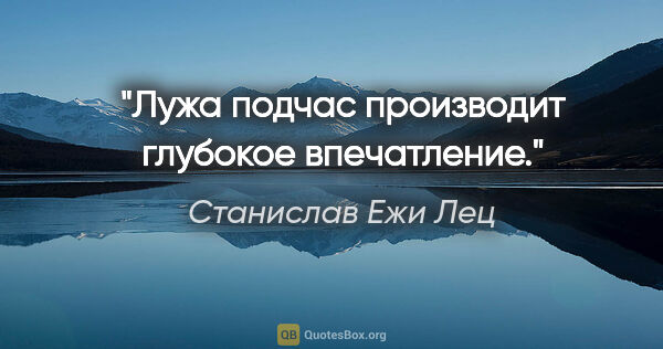 Станислав Ежи Лец цитата: "Лужа подчас производит глубокое впечатление."