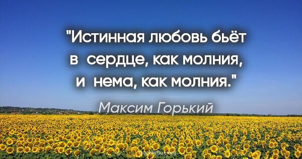 Максим Горький цитата: "Истинная любовь бьёт в сердце, как молния, и нема, как молния."