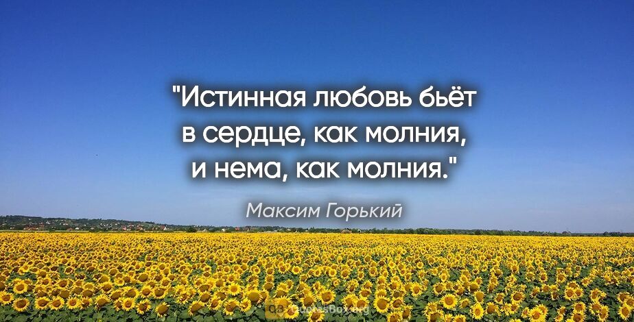 Максим Горький цитата: "Истинная любовь бьёт в сердце, как молния, и нема, как молния."