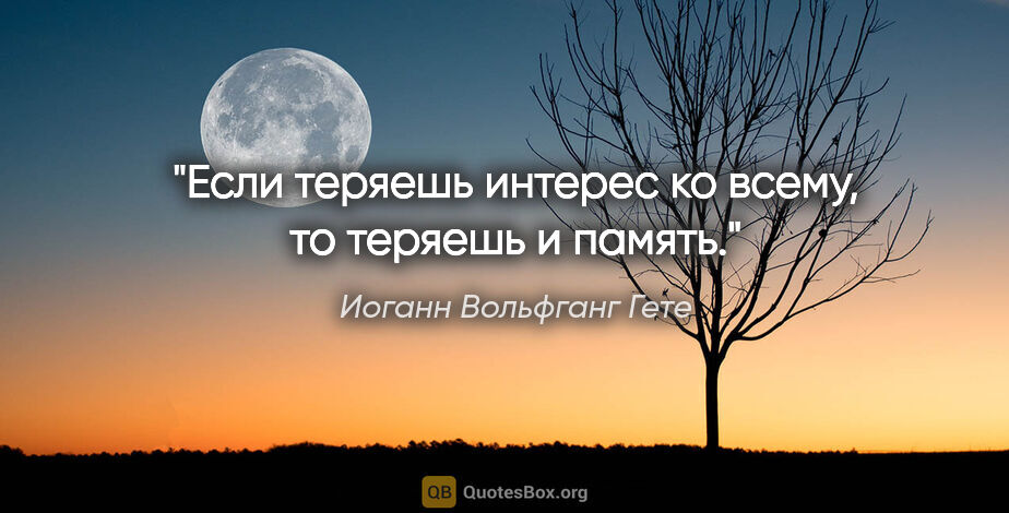 Иоганн Вольфганг Гете цитата: "Если теряешь интерес ко всему, то теряешь и память."