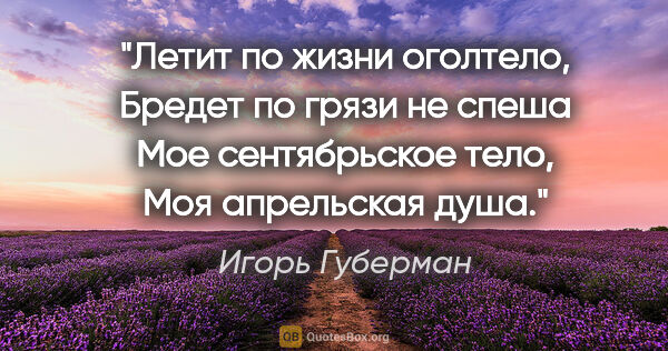 Игорь Губерман цитата: "Летит по жизни оголтело,

Бредет по грязи не спеша

Мое..."