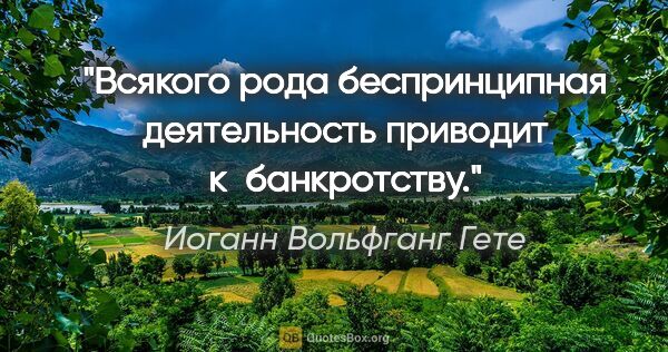 Иоганн Вольфганг Гете цитата: "Всякого рода беспринципная деятельность приводит к банкротству."