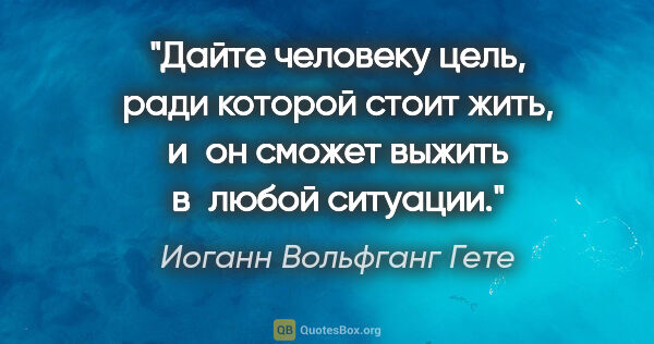 Иоганн Вольфганг Гете цитата: "Дайте человеку цель, ради которой стоит жить, и он сможет..."