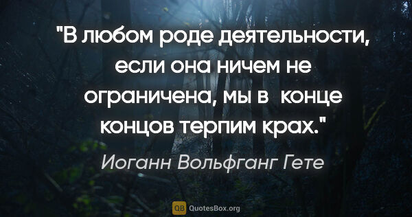 Иоганн Вольфганг Гете цитата: "В любом роде деятельности, если она ничем не ограничена, мы..."