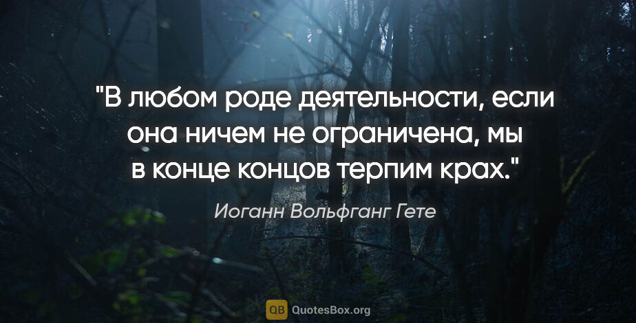 Иоганн Вольфганг Гете цитата: "В любом роде деятельности, если она ничем не ограничена, мы..."