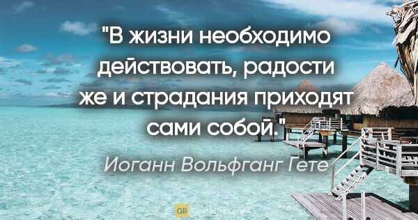 Иоганн Вольфганг Гете цитата: "В жизни необходимо действовать, радости же и страдания..."