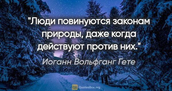 Иоганн Вольфганг Гете цитата: "Люди повинуются законам природы, даже когда действуют против них."