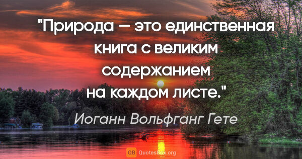 Иоганн Вольфганг Гете цитата: "Природа — это единственная книга с великим содержанием на..."