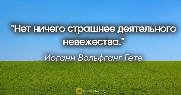 Иоганн Вольфганг Гете цитата: "Нет ничего страшнее деятельного невежества."