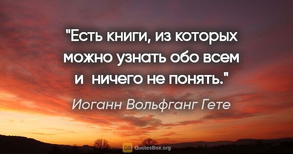 Иоганн Вольфганг Гете цитата: "Есть книги, из которых можно узнать обо всем и ничего не понять."