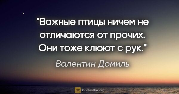 Валентин Домиль цитата: "«Важные птицы» ничем не отличаются от прочих. Они тоже клюют с..."