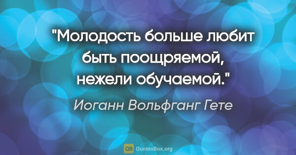 Иоганн Вольфганг Гете цитата: "Молодость больше любит быть поощряемой, нежели обучаемой."