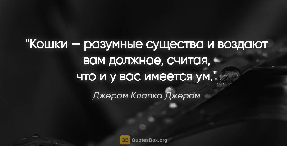 Джером Клапка Джером цитата: "Кошки — разумные существа и воздают вам должное, считая, что..."