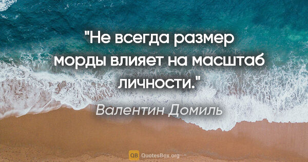 Валентин Домиль цитата: "Не всегда размер морды влияет на масштаб личности."