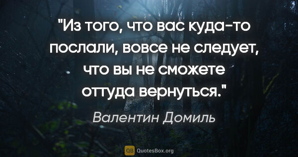 Валентин Домиль цитата: "Из того, что вас куда-то послали, вовсе не следует, что вы не..."