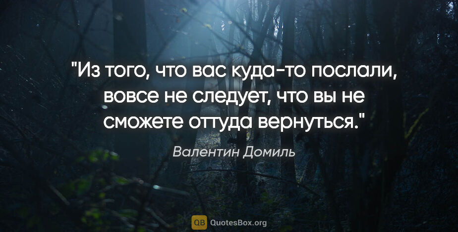 Валентин Домиль цитата: "Из того, что вас куда-то послали, вовсе не следует, что вы не..."