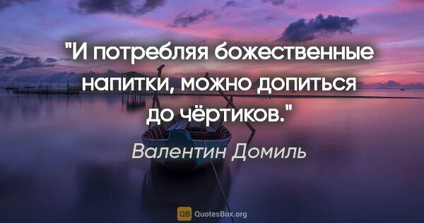 Валентин Домиль цитата: "И потребляя божественные напитки, можно допиться до чёртиков."