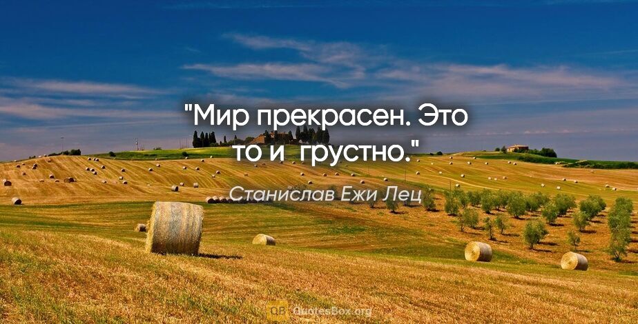 Станислав Ежи Лец цитата: "Мир прекрасен. Это то и грустно."