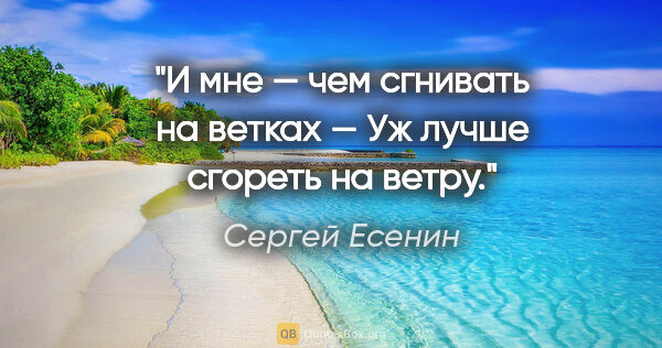 Сергей Есенин цитата: "И мне — чем сгнивать на ветках —

Уж лучше сгореть на ветру."
