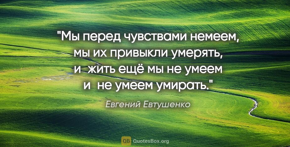 Евгений Евтушенко цитата: "Мы перед чувствами немеем,

мы их привыкли умерять,

и жить..."