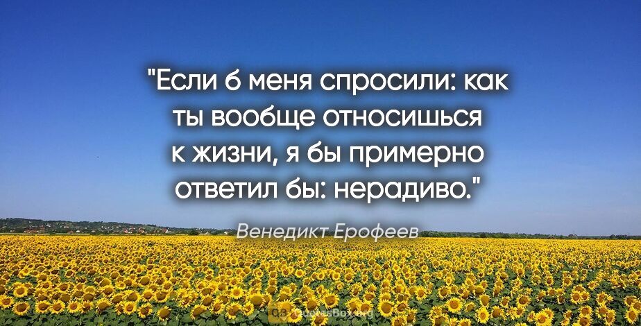 Венедикт Ерофеев цитата: "Если б меня спросили: как ты вообще относишься к жизни, я бы..."