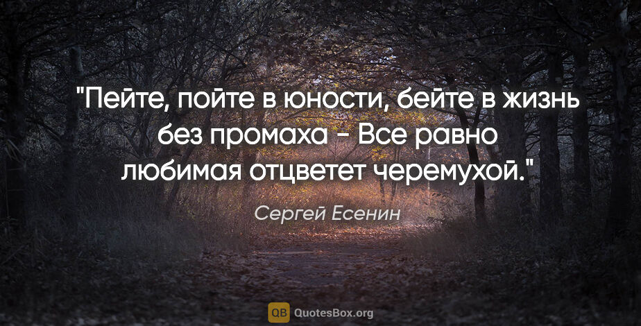 Сергей Есенин цитата: "Пейте, пойте в юности, бейте в жизнь без промаха -

Все равно..."