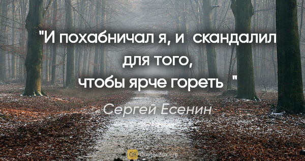 Сергей Есенин цитата: "И похабничал я, и скандалил

для того, чтобы ярче гореть"