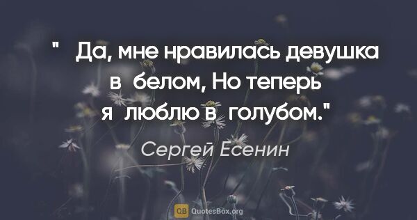 Сергей Есенин цитата: " Да, мне нравилась девушка в белом,

Но теперь я люблю..."