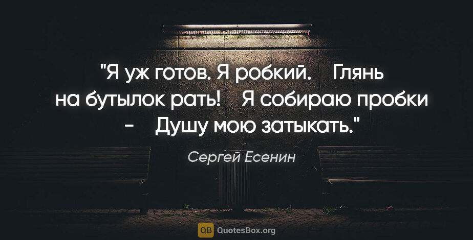 Сергей Есенин цитата: "Я уж готов. Я робкий.

   Глянь на бутылок рать!

   Я собираю..."