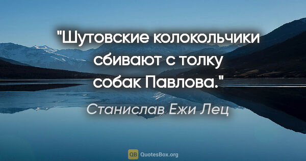 Станислав Ежи Лец цитата: "Шутовские колокольчики сбивают с толку собак Павлова."