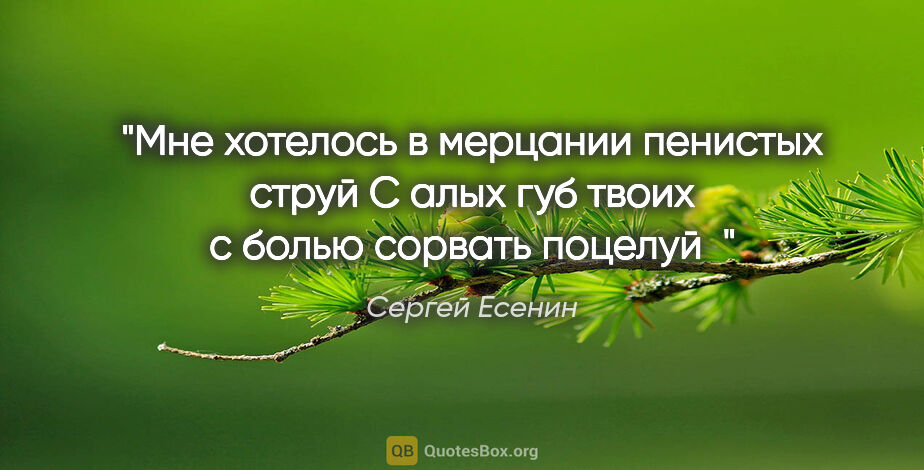 Сергей Есенин цитата: "Мне хотелось в мерцании пенистых струй

С алых губ твоих с..."