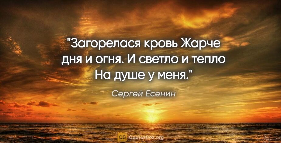 Сергей Есенин цитата: "Загорелася кровь

Жарче дня и огня.

И светло и тепло

На душе..."