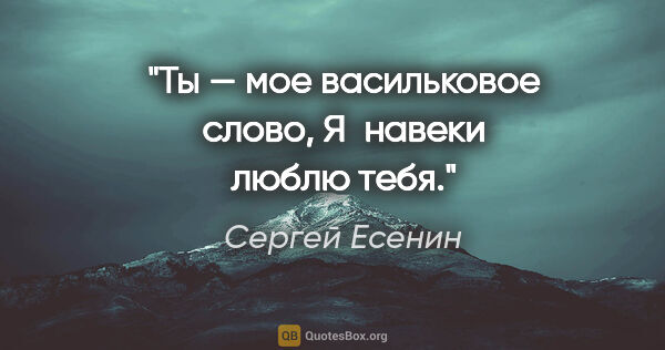 Сергей Есенин цитата: "Ты — мое васильковое слово,

Я навеки люблю тебя."