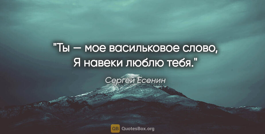 Сергей Есенин цитата: "Ты — мое васильковое слово,

Я навеки люблю тебя."