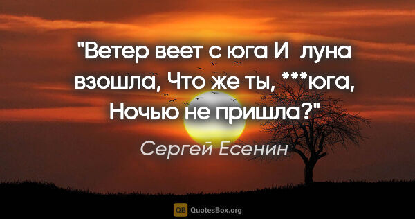 Сергей Есенин цитата: "Ветер веет с юга

И луна взошла,

Что же ты, ***юга,

Ночью не..."
