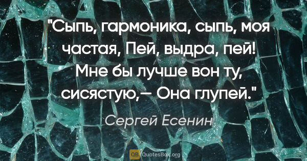 Сергей Есенин цитата: "Сыпь, гармоника, сыпь, моя частая,

Пей, выдра, пей!

Мне бы..."