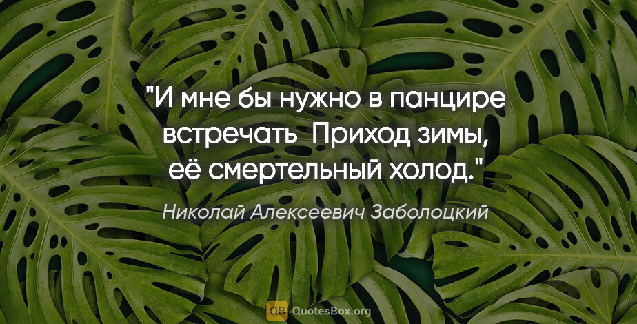 Николай Алексеевич Заболоцкий цитата: "И мне бы нужно в панцире встречать

 Приход зимы, её..."