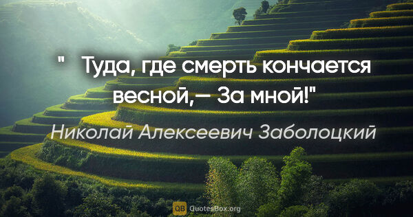 Николай Алексеевич Заболоцкий цитата: " Туда, где смерть кончается весной,—

За мной!"