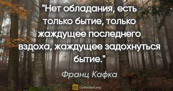 Франц Кафка цитата: "Нет обладания, есть только бытие, только жаждущее последнего..."