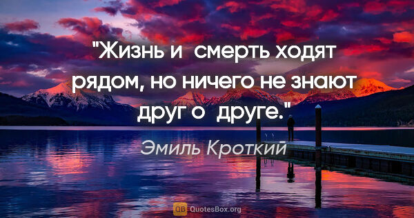 Эмиль Кроткий цитата: "Жизнь и смерть ходят рядом, но ничего не знают друг о друге."