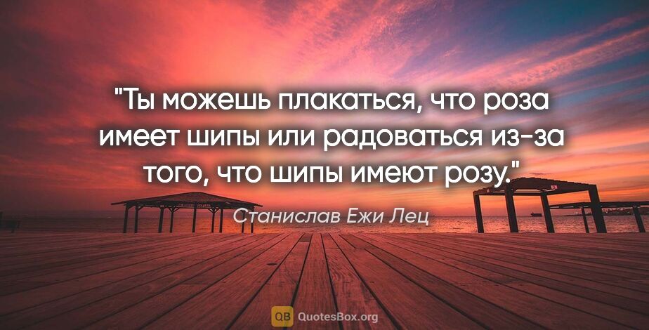 Станислав Ежи Лец цитата: "Ты можешь плакаться, что роза имеет шипы или радоваться из-за..."