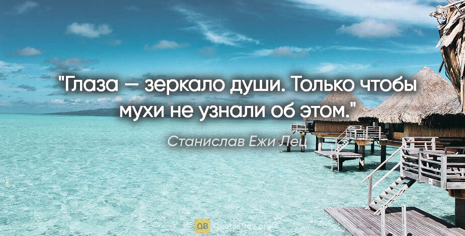 Станислав Ежи Лец цитата: "Глаза — зеркало души. Только чтобы мухи не узнали об этом."