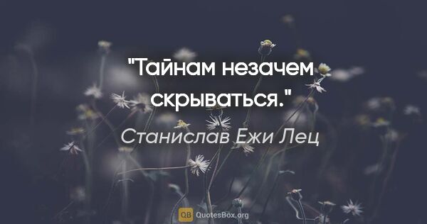 Станислав Ежи Лец цитата: "Тайнам незачем скрываться."