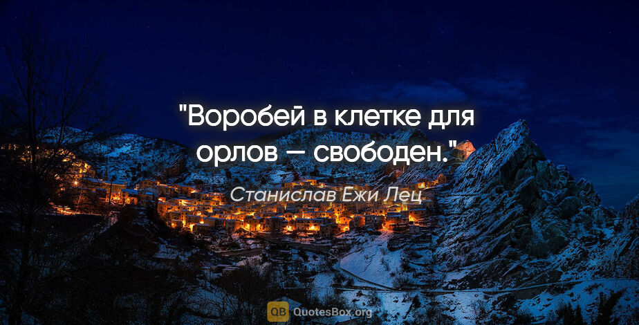 Станислав Ежи Лец цитата: "Воробей в клетке для орлов — свободен."