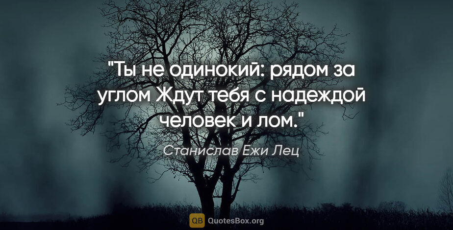 Станислав Ежи Лец цитата: "Ты не одинокий: рядом за углом

Ждут тебя с надеждой человек..."