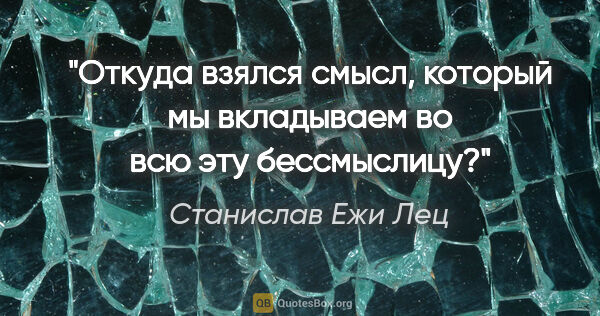 Станислав Ежи Лец цитата: "Откуда взялся смысл, который мы вкладываем во всю эту..."