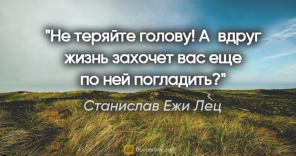 Станислав Ежи Лец цитата: "Не теряйте голову! А вдруг жизнь захочет вас еще по ней..."