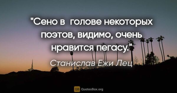 Станислав Ежи Лец цитата: "Сено в голове некоторых поэтов, видимо, очень нравится пегасу."