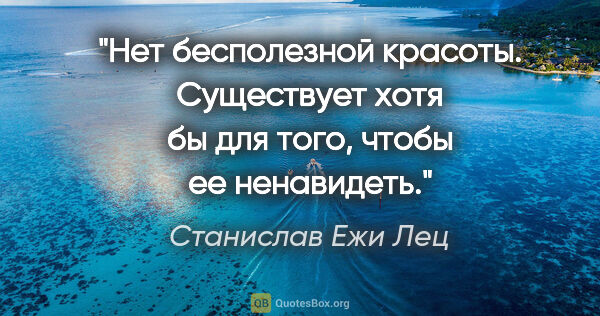 Станислав Ежи Лец цитата: "Нет бесполезной красоты. Существует хотя бы для того, чтобы ее..."