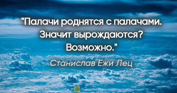 Станислав Ежи Лец цитата: "Палачи роднятся с палачами. Значит вырождаются? Возможно."